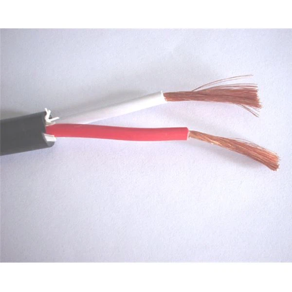 black speaker cable